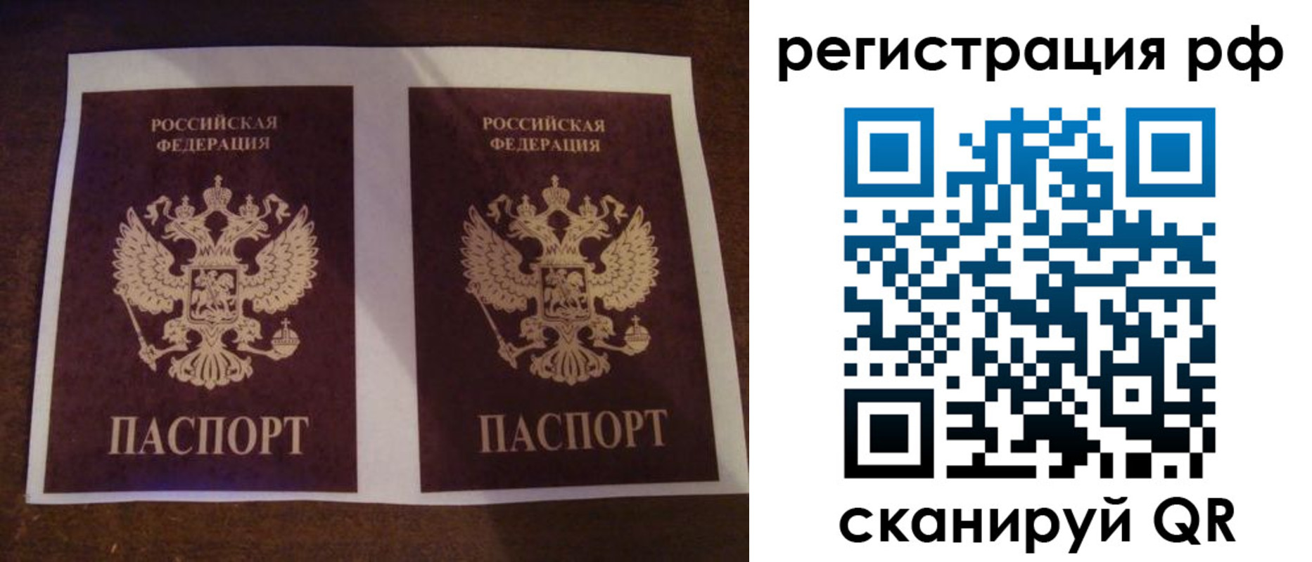 временная регистрация гарантия в Луге